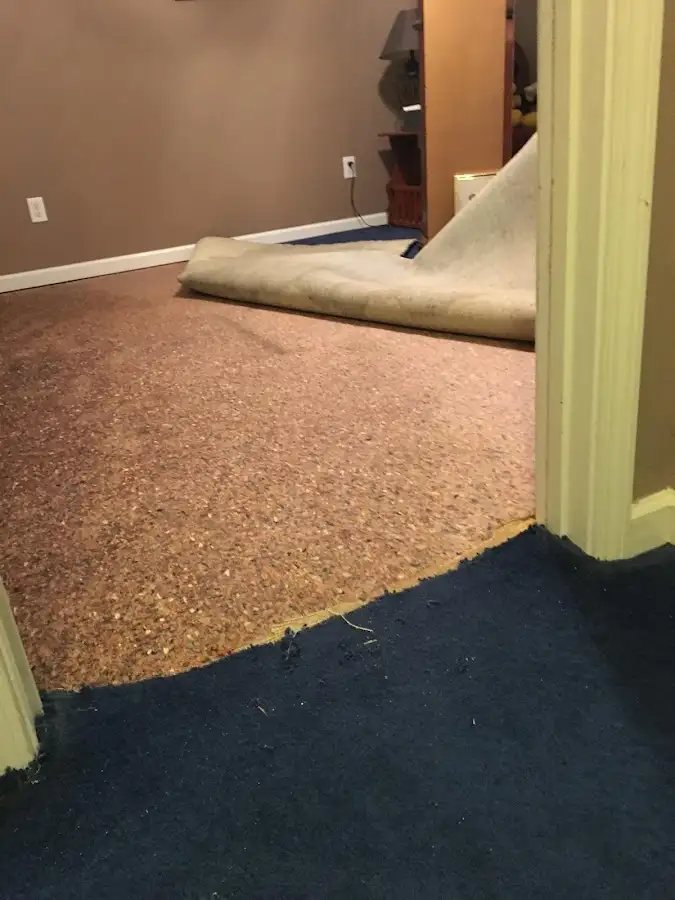 Carpet pad removal revealing water damage during Water Mitigation Services in Orono