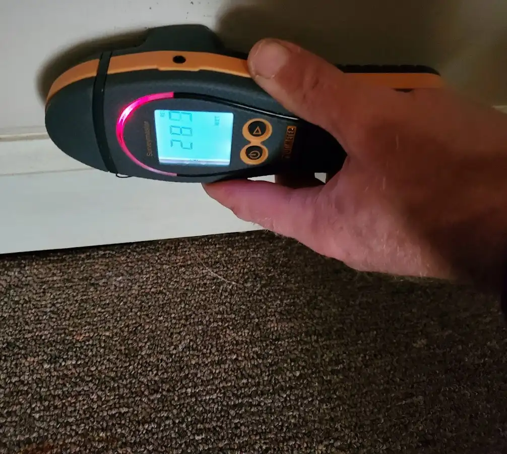 Moisture detection at baseboard during Burst Pipe Cleanup in Orono