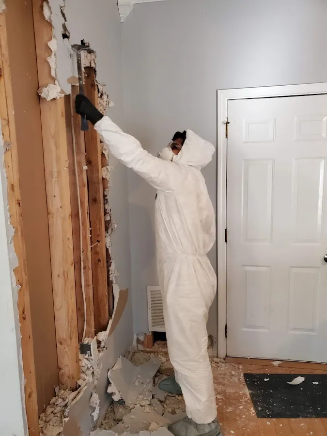 Commercial Water Damage Restoration in Orono, MN